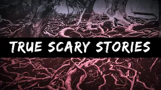 Scary Stories For A Cold Wintery Night