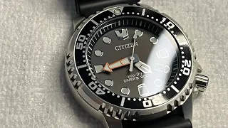 Citizen Promaster Diver Eco Drive. The Best Beginner Dive Watch!