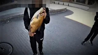 Guy Steals Big Fish from Us to EAT (Police Called) Urban Fly Fishing & Bread