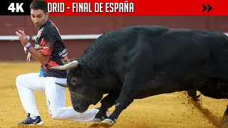 MADRID ▪ FINAL DE ESPAÑA DE RECORTE LIBRE CON TOROS 2021