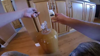 Adding Bentonite to Apricot Mead and Wit Beer Matters