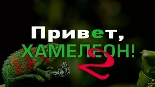 Привет/Приват, хамелеон! - 2 - Документальные проекты - Интер