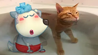 Funny Cat Loves Bathing with Wolfoo !! 😾🐶 Wolfoo in Real Life ! Funniest Cats And Dogs Videos