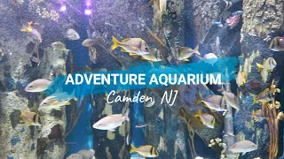 Adventure Aquarium, Camden NJ