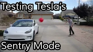 Does Tesla's Sentry Mode Work?