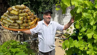 Azerbaijani Leaf Dolma Made From Grape Leaves Harvested in The Garden