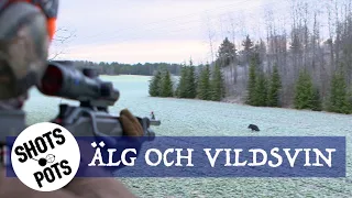 DREVJAKT PÅ ÄLG OCH VILDSVIN - Moose- and wild boar hunt [Eng. sub.]