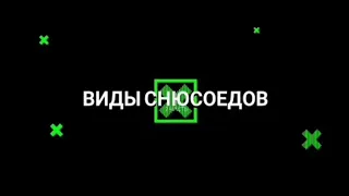 Все виды снюсоедов по данным 2020-2021 | 2 часть