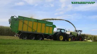 Ensilage de maïs 2023 - Claas Jaguar 990 et 4 tracteurs JD -  Egide London