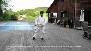 WuDang Five animals Qi Gong 虎形 Forms  by master chenlisheng