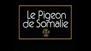 [DVD] Les Nuls Institut Of Miami - Le Pigeon de Somalie (TVN 595)