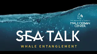 SeaTalk: Talking Story about Large Whale Entanglement Response in Hawaii