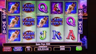 $1 CASH cove jackpot Big Win!!!