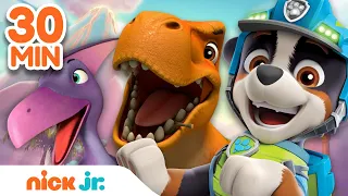 PAW Patrol Dino Rescue 30 MINUTE MARATHON! | Nick Jr.