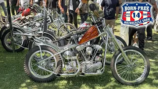 Born Free 14 Show Bikes