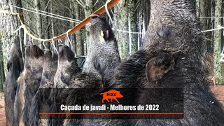 Caçada de javali - Melhores do ano de 2022