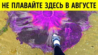 Никакого фотошопа — самые большие вещи и существа на планете