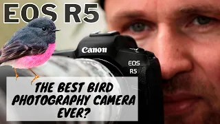 EOS R5 - The BEST Bird Photography Camera EVER?