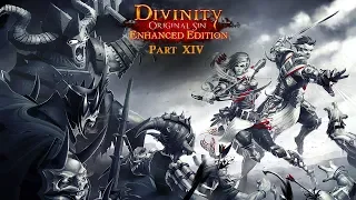 Divinity Original Sin Enhanced Edition Part 14 - The Mirror Dungeon Puzzle