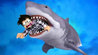 LE PLUS GRAND REQUIN DE ROBLOX