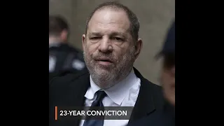 Harvey Weinstein jailed for 23 years