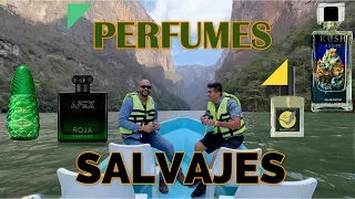 PERFUMES QUE HUELEN A KUSH, HIERVA Y PINO A PRUEBA EN EL CAÑON DEL SUMIDERO