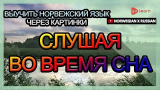 Выучить норвежский язык через картинки |норвежский язык словарь Слушая во время сна | Golearn