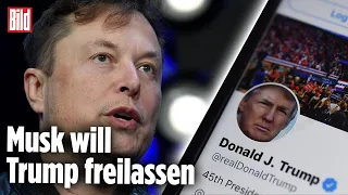 Trump-Comeback: Elon Musk will Ex-Präsidenten wieder „Zwitschern“ lassen | Twitter