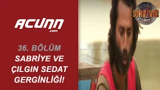 Çılgın Sedat ve Sabriye tartıştı!| 36. Bölüm | Survivor 2017