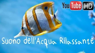 30 min  ♥ 174 Hz 417 Hz 741 Hz   ♥ Bella Musica Strumentale ♥ Musica Rilassante ♥ Suono dell' Acqua