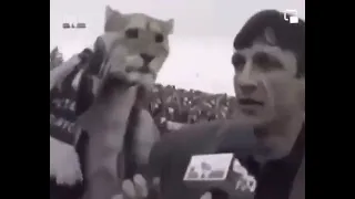 microphone lion