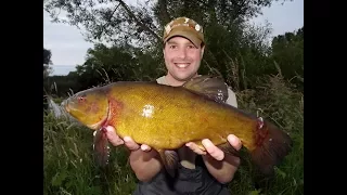 Tench on the Float