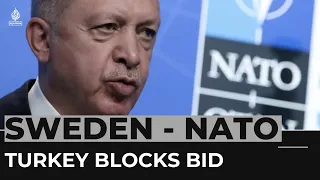 Turkey approves Finland’s NATO bid but blocks Sweden