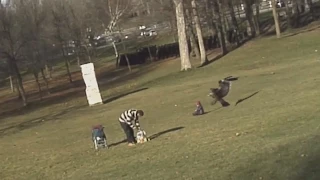 Орел напал на ребенка  Eagle attack a child