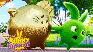 Las Aventuras de Sunny Bunnies | Conejitos de chocolate | Serie 5 | Dibujos para niños