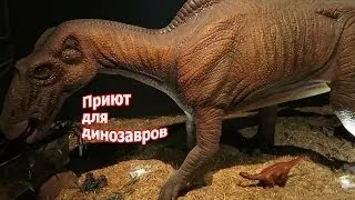 Влог Парк динозавров в Стамбуле. Vlog Emir at Jurassic Land in Istanbul