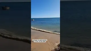 Dad checking the water for sharks. 🦈