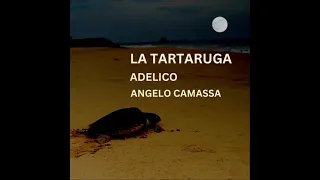 La Tartaruga - Adelico & Angelo Camassa - Video con Testo