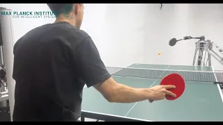 Robot table tennis smashes with a largely 3D printable muscular robot and reinforcement learning.