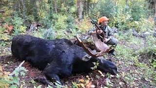 Moose Hunting Maine 2022  |  The Stars Align  |  Beyond the Boundaries