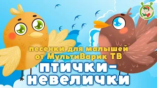 ПТИЧКИ - НЕВЕЛИЧКИ ☺ МУЛЬТиВАРИК ТВ ♫ ПЕСЕНКИ ДЕТСКОГО САДА ♫ СБОРНИК ПЕСЕН МУЛЬТИКОВ 0+