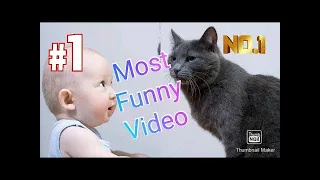 Baby and Cats funny videos - Funny cat videos compilation [ Pet Animalia ]