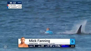 WSL Speaks Out on Mick Fanning's Shark Attack - The Inertia