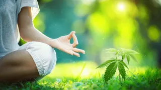 GANJA YOGA THE NEW TREND OF THE MINDFULNESS INDUSTRY