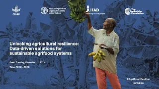 Unlocking agricultural resilience: Data-driven solutions for sustainable agrifood systems