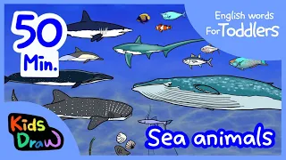 English Words for Toddlers | Sea Animals | 1 hour | Whales, Sharks, Deep-Sea Ocean Creatures