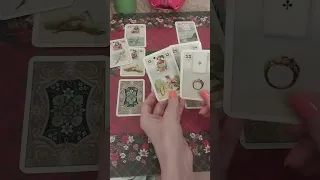 Что между ВАМИ на данный момент? #tarot#love#