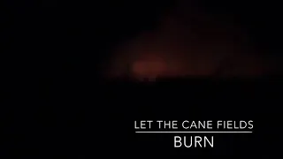 Let the Cane Fields Burn