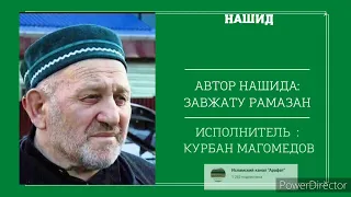 Аварский нашид МАНСУРИЛ МУХ1АММАД Афанди