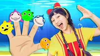 Baby Shark Finger Family +MORE Kids Songs | TigiBoo